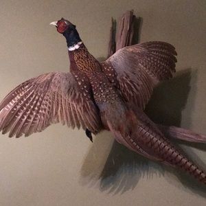 Meet your Posher, Dennis